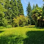 Апартаменты Casa Patricia