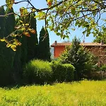 Casa Patricia *