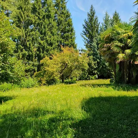 Apartment Casa Patricia