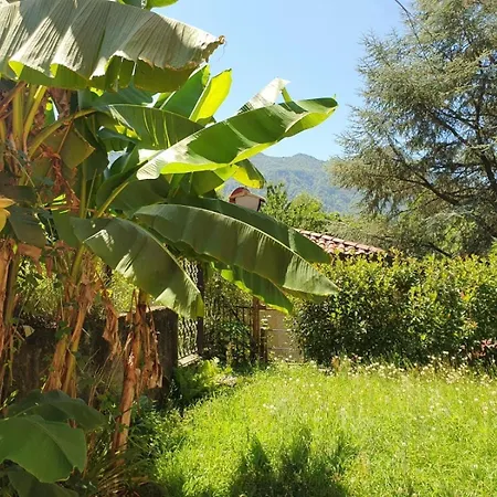 Casa Patricia Apartment