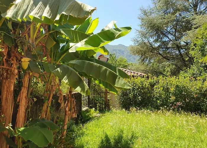 Casa Patricia Lägenhet