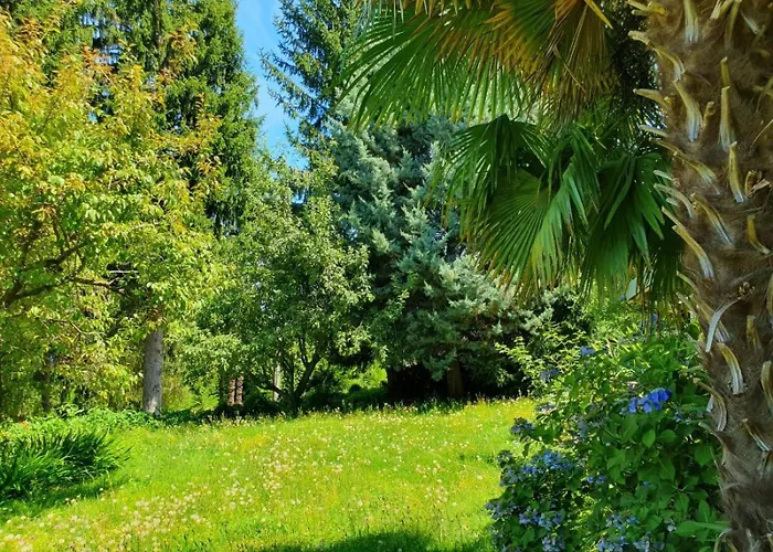 Casa Patricia 波尔托瓦尔特拉瓦利亚